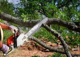 Best Weed Control  in Harbison Nyon, CA